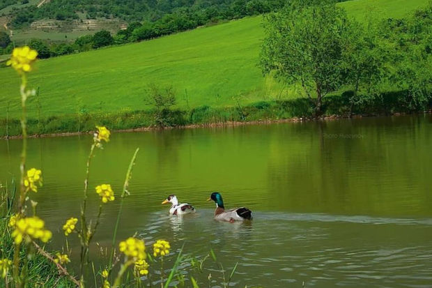 Sabah Bakıda 35, rayonlarda 37 dərəcə isti olacaq